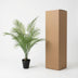 Kunst-Kentia-Palme 65 cm: Elegante Deko ohne Pflege Bild 6