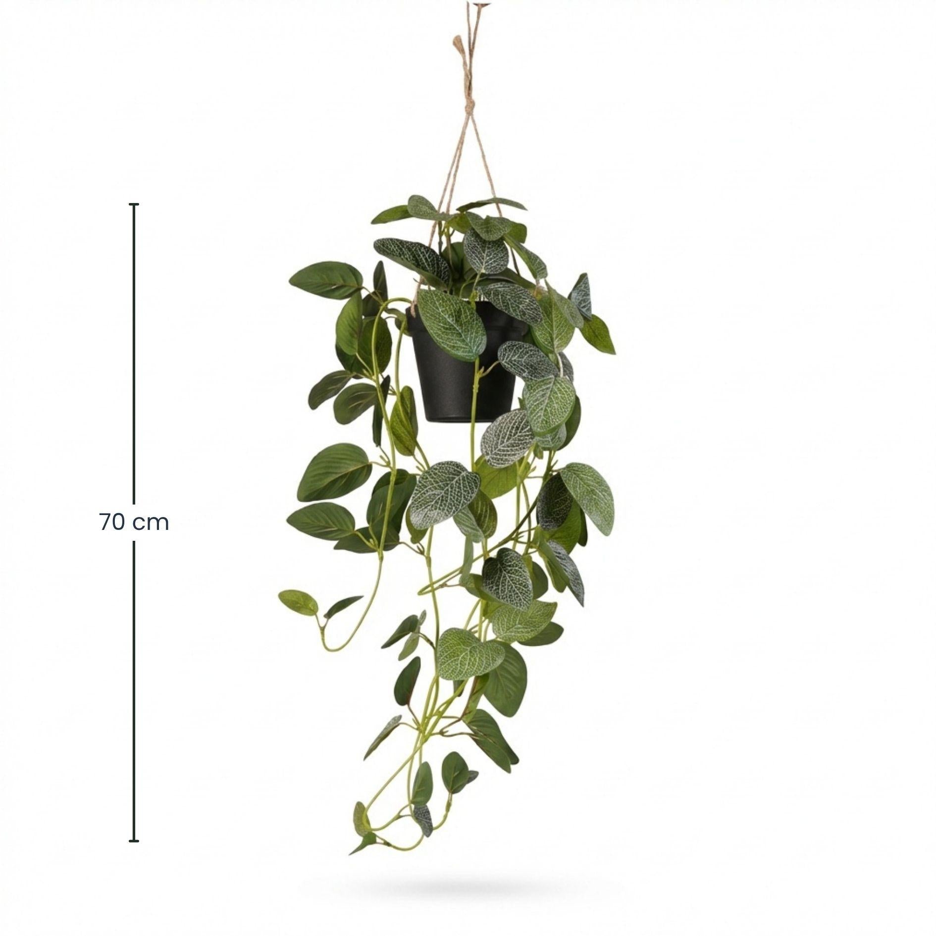 Fittonia - hangplant in pot - 70 cm - Kunstplant