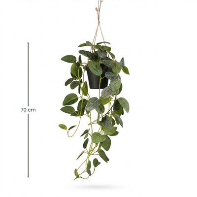 Fittonia Kunstpflanze Hängend, 70cm, Schwarz Topf