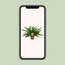 Nephrolepis Green Lady (Boston-Farn) - Ø17cm - ↕40cm Bild 5