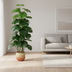 Artificial Monstera Monkey Leaf 125cm – Tropical Flair Without the Fuss Bild 2