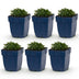 Green boutiQ - Perennial - Campanula portenschlagiana - Peach-leaved Bellflower - Ground Cover - Pink - 6 Plants - Pot 11cm - Height 15-25cm Bild 1