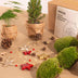 Plant Terrarium Kit: Mini Christmas Tree & Decorations for DIY Festivities Bild 2