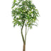 Kunstpflanze Pachira Aquatica Glückskastanie 180 cm Bild 1