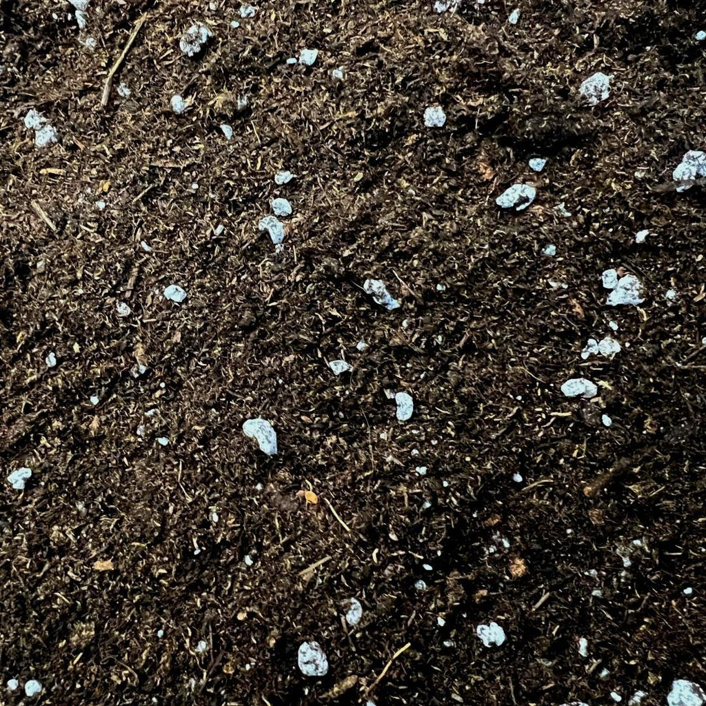 Culvita - Anthurium and Fernerde 5 Liter - Blumenerde für Anthurium und Farne