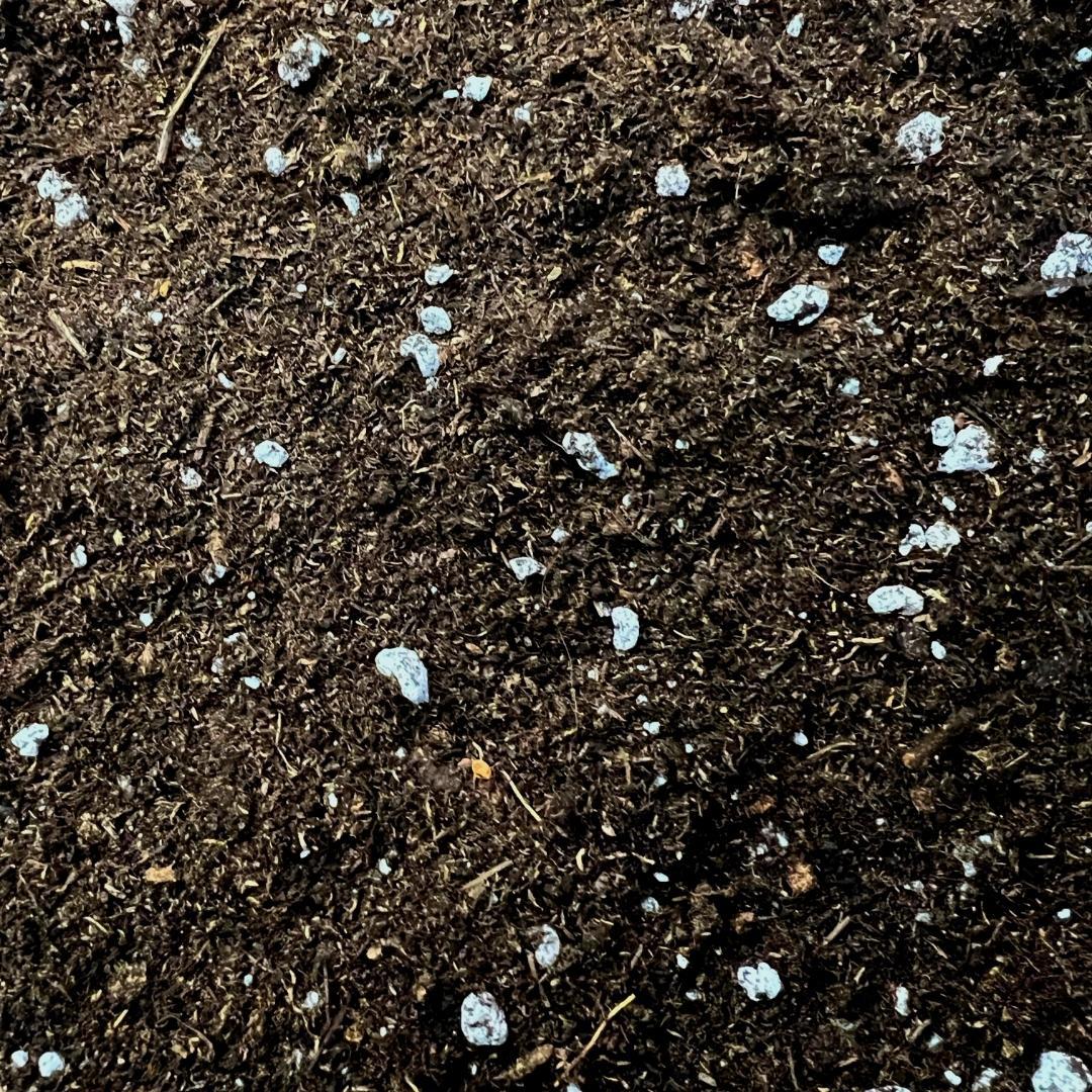 Culvita - Anthurium and Fernerde 5 Liter - Blumenerde für Anthurium und Farne