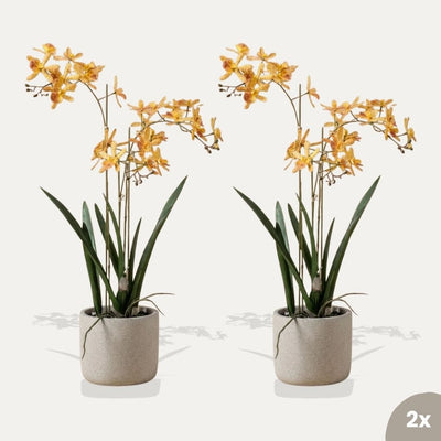 Renanthera Orchidee gelb/orange 2 Stück - Bündelprodukt - Kunstpflanzen