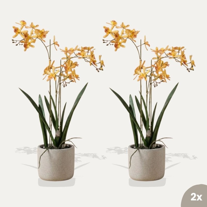 Renanthera Orchidee gelb/orange 2 Stück - Bündelprodukt - Kunstpflanzen
