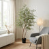 Kunst Cassia-Baum 180 cm - Pflegeleicht & Elegant Bild 3