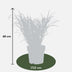 10er Spar-Bundle: 5x Lavendel angustifolia (Echter Lavendel) & 5x Zebra Gras 'Strictus' - Beet-Pflanzen Set - 40-60cm (19cm & 23cm Topf) Bild 3