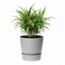 Elho Greenville Topf Rund Grau D14 x H13 cm Bild 4