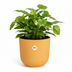 Elho Jazz Round Flower Pot Amber Yellow D14 x H13 cm Bild 4
