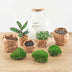 Bottle Garden 'Teddy' with Accessories (26.5 cm) Bild 4