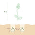 GreenboutiQ Camassia Leichtlinii Mix - Lila & Weiß Blumenzwiebeln - 5 Stück Bild 2