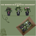 Helleborus Specials - 3 x Ø 14 cm - ↨ 25 cm Bild 3