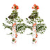 2x Trompetenblume 'Summer Jazz Fire' - 65cm - Topf Ø15 Bild 6