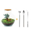 Flaschengarten Bolder Bob Bonsai DIY-Set, 30cm, inkl. Werkzeug Bild 1