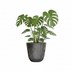 Topf Palermo Marmor Grau D35 x H32 Bild 3