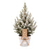 Picea glauca Conica - Zuckerhutfichte - Grün - Weiß - Weihnachtsbaum - inkl. Zinktopf - Ø17cm - ↕65cm Bild 2