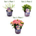 Hortensie 'Forever & Ever' Rosa - 2 Pflanzen im 23cm Topf Bild 4