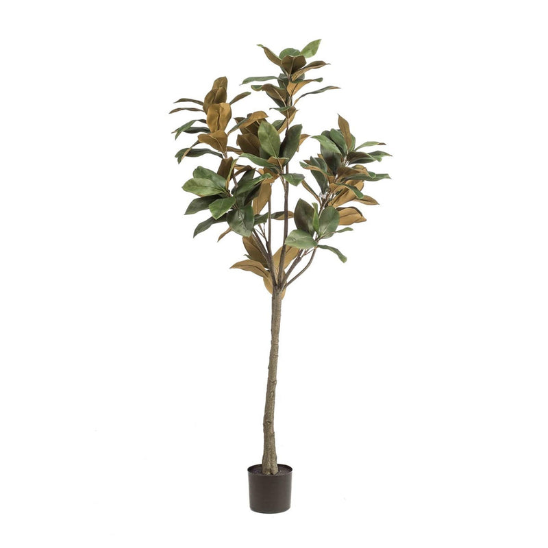 Magnolia Denudata Kunstbaum 150cm – Weiße Blüten, pflegeleicht