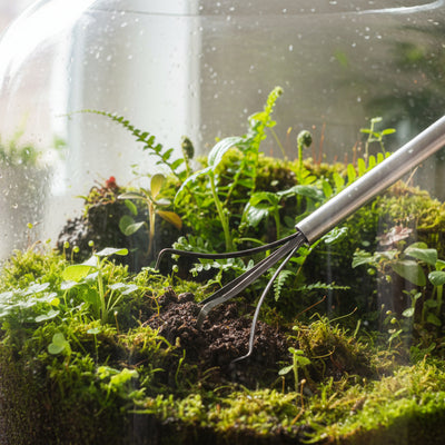 Pflanzen-Terrarium-Hebekralle 72cm Stahl - Ideal für Blätter & Steine
