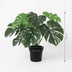 Artificial Monstera Deliciosa, 45cm - Tropical flair without the fuss Bild 2