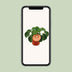 Pilea Peperomioides im 11cm Topf – Chinesische Geldpflanze Bild 5