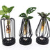 Glaszylinder mit LED - 3er-Set Ø7cm x H20cm - Warmweiß Bild 1