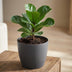 ELHO Brussels rund Blumentopf 18 cm Anthrazit aus recyceltem Kunststoff Bild 5