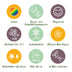 GreenboutiQ Perennial Package White: 24 Plants for 3m², Easy to Care For Bild 6
