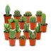 Mini Kakteen Set: 15 Stück, Ø 5.5 cm, 5-10 cm Höhe Bild 1