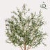 Kunstbaum Olive Olea europaea - 180 cm Bild 4