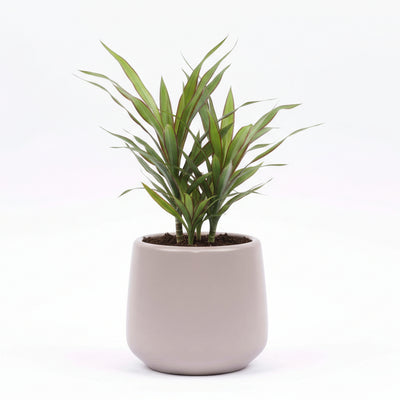 Round Ceramic Pot Joey Grey Matt D7.5 H7.5