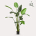 Kunstplant - Strelitzia Nicolai - Paradijsvogelbloem -  230cm Bild 1