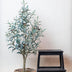 Artificial Olive Tree Olea europaea - 115 cm - Easy-care & Decorative Bild 5