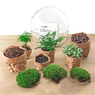 Flaschengarten Dome XL: DIY-Pflanzterrarium für Ihr Zuhause