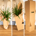 Überraschungsbox Zimmerpflanze Ø12cm, H25cm - 5 Pflanzen Bild 4