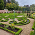 GreenboutiQ Buxus Hecke 'Babylon Beauty' - 16 Pflanzen für 2m Bild 5