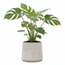 Zementtopf Aniek D34 x H30 cm - Modern & Robust Bild 3