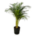 Areca-Palme (130cm) im elho Greenville Topf (Ø 24cm) Bild 1