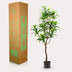 Kunstpflanze Drachenbaum (Dracaena) 130 cm - Immergrün & Sicher Bild 6