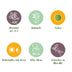 Immergrüner Himmelsbursche Lemon Lime gelbe Gartenpflanze 2er Set Bild 8