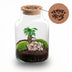 LOVE MOM Terrarium mit Licht - Muttertagsgeschenk DIY Flaschengarten Bild 1