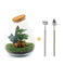 Bottle Garden XL Red - DIY Plant Terrarium with Coffee & Calathea Bild 1