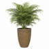 Ben Strawgrass Pot - D30 x H41 cm - Natural Elegance Bild 3