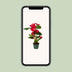 Anthurie 'Nevada' Rot - XL Zimmerpflanze, Ø17cm Topf, 55cm Höhe Bild 5