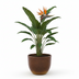 Topf Eggy Bronze - D65 x H51 cm, Modern & Vielseitig Bild 4