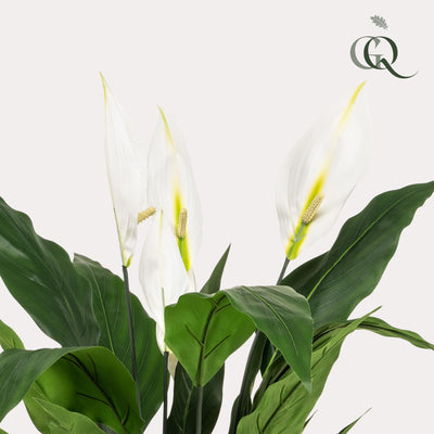 Künstliche Spathiphyllum (Einblatt) 90cm – Pflegeleichte Zimmerpflanze