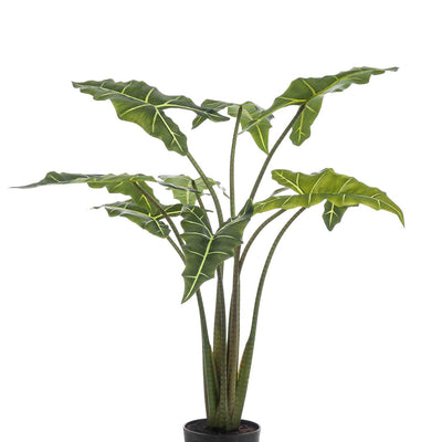Kunstpflanze Alocasia Frydek, 120 cm – Immergrüne Eleganz